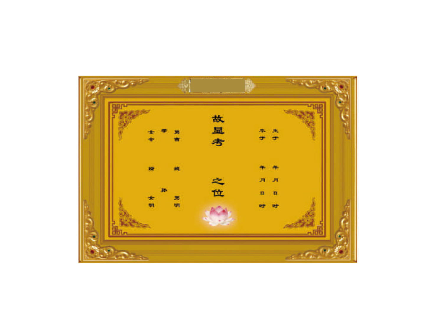 单位穴面板